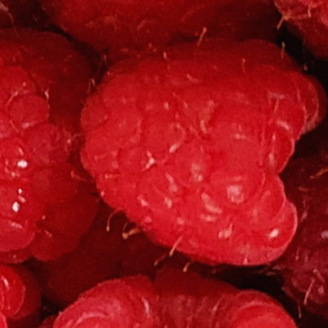 GEKO Fruchthandels GmbH