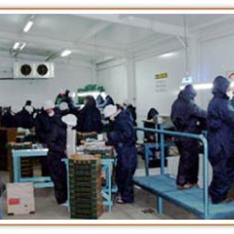 Etampo S.A. Factory