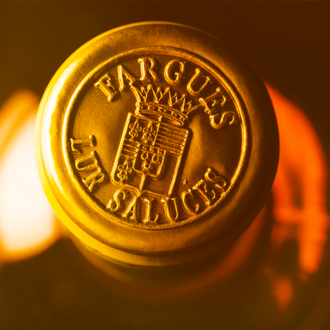 Château de Fargues - Wine