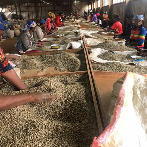 Aseans Cameroon Limited - Production