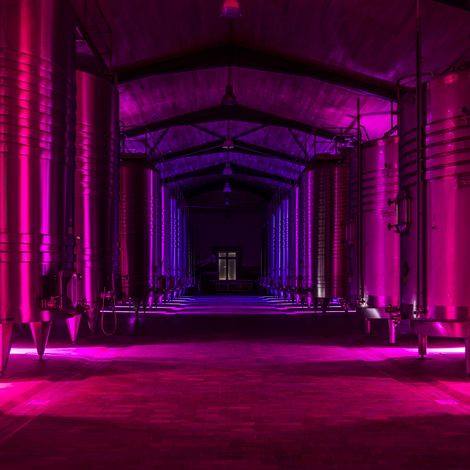 Photo of the vat house