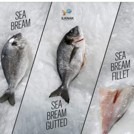 fish