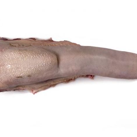 Tong_0.jpg