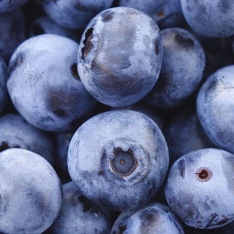 Blueberries