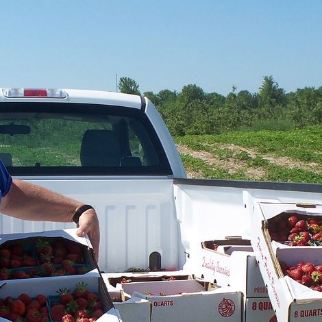Lagoner Farms, Inc.