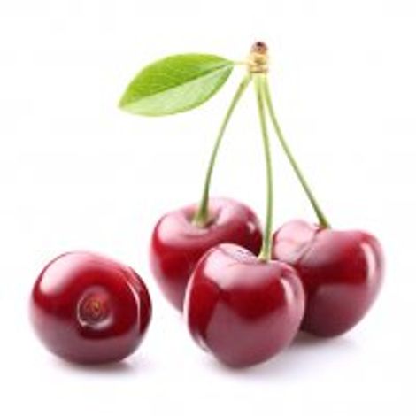 Special Fruit Producciones SL