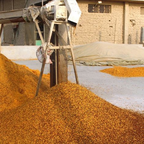 Karim Rice Trader - Production