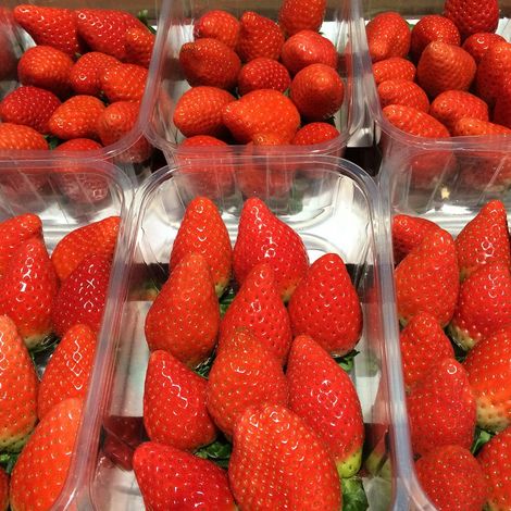 Green Valley Berries