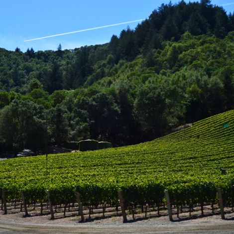 Grace Family Vineyards