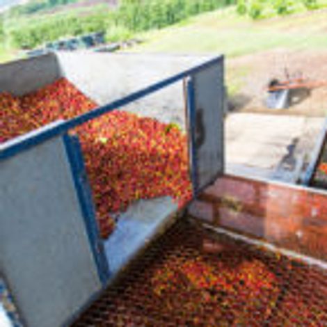 Africoff trading co. ltd