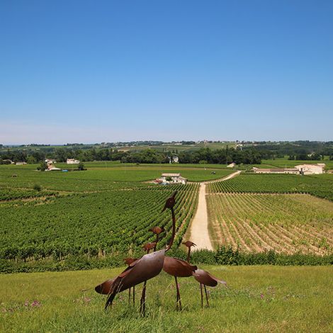 Chateau Haut-Sarpe sits on the highest hill overlooking Saint-Émilion