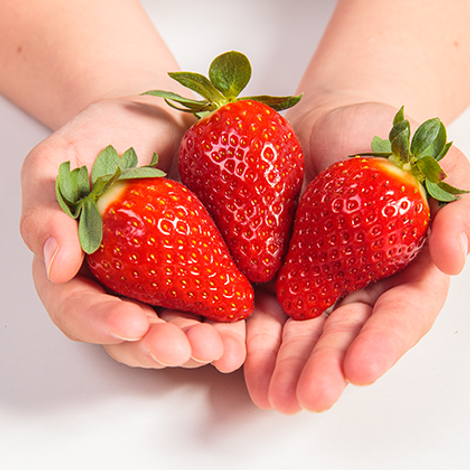 red strawberry