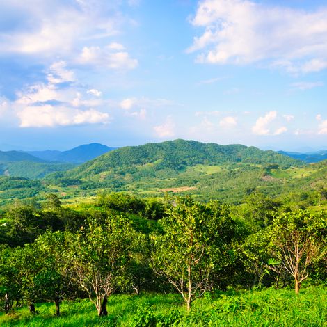 View of our Organic valley