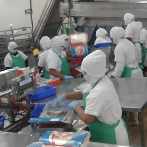 El Oro Shrimp Inc - Facility