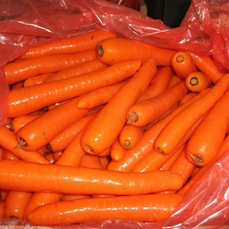Carrots