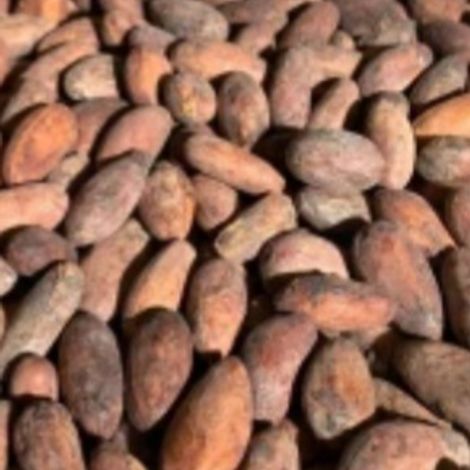 Cocoa beans