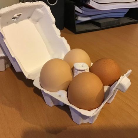Aotearoa Free Range Eggs Limited