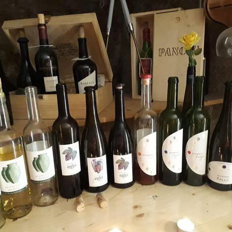 La Bodega de las Estrellas - Wines