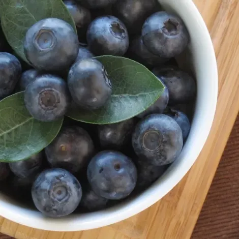 Blueberries S.A