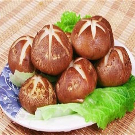 Zhangzhou Zhentian Trading Co.,Ltd