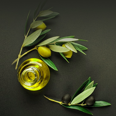 The Tunisian American Olive Oil company (TAOOC)