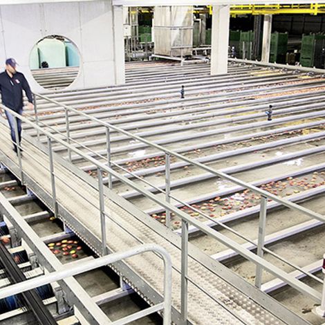 Obst Goessl Obstgrosshandel - Production