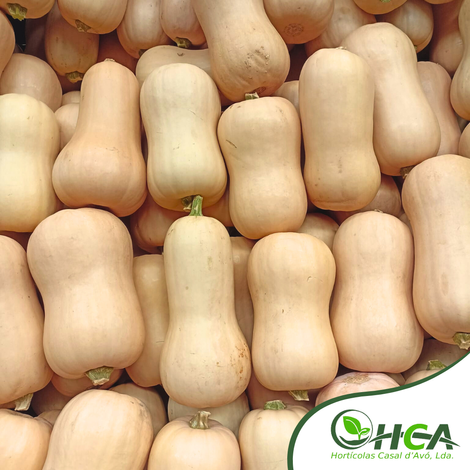 Butternut Squash