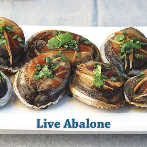 liveabalone-final01.jpg