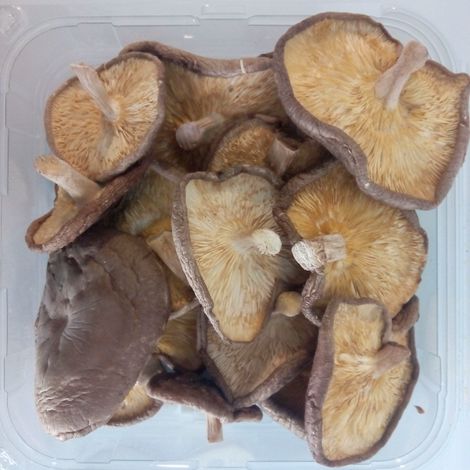 Dried Shiitake (BIO)