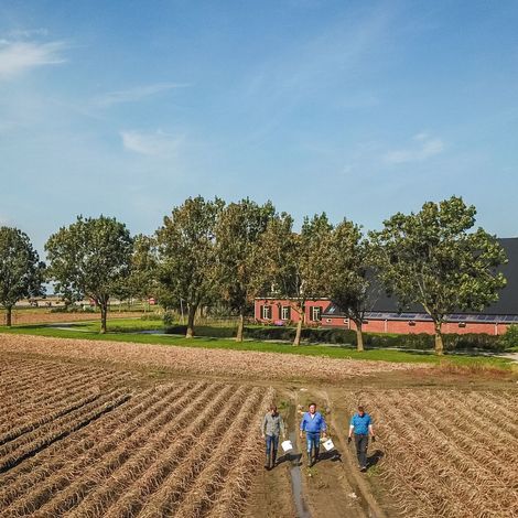 HZPC America Latin S.A. - Farm