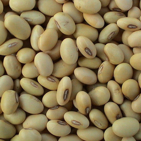soya-beans-500x500.png