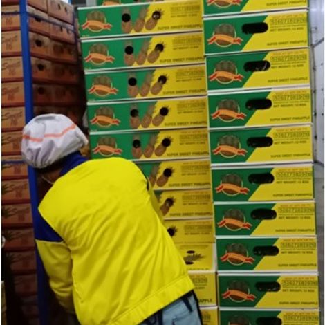 Avante Agri-Products_Pineapple_MD2/GOLD