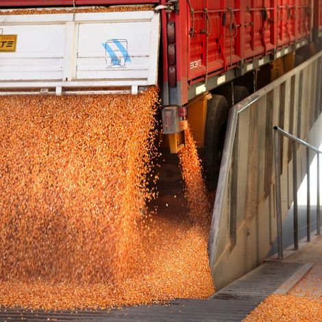Bioetanol Río Cuarto S.A. - Corn Milling