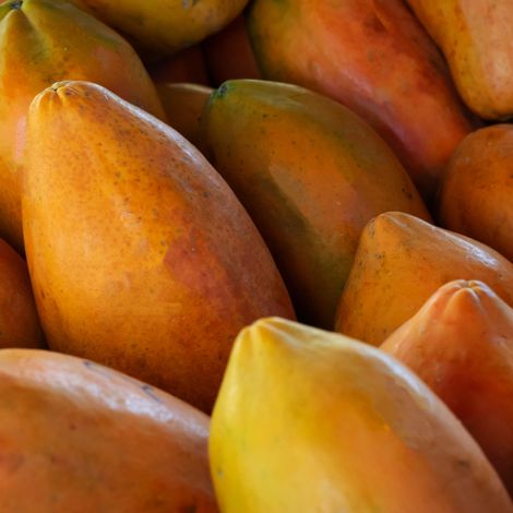Papaya