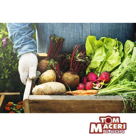 Tom Maceri & Son Inc