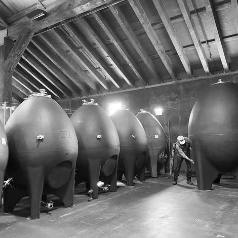 Frog's Leap Winery_Wine_Process