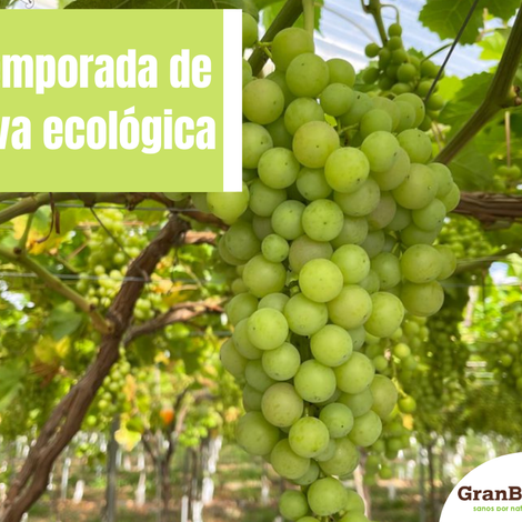 GranBiBio Supermercados Ecológicos - Supermarket - Product