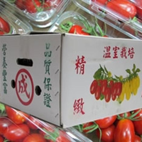 taiwan greenhouse tomato