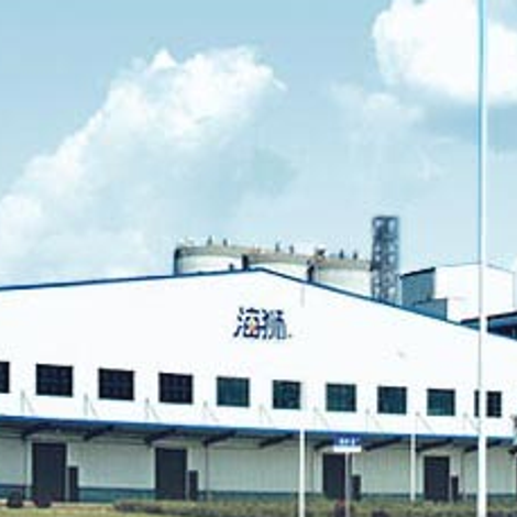 Shanghai Liangyou Group Co., Ltd.