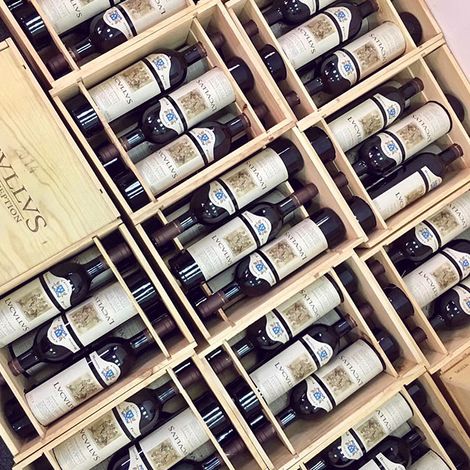 Château Hostens-Picant wines