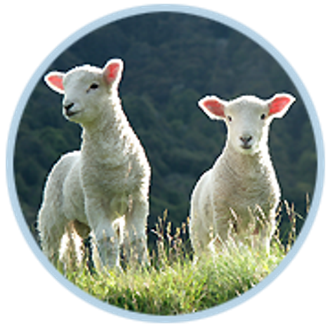 icon-lytras-3.png
