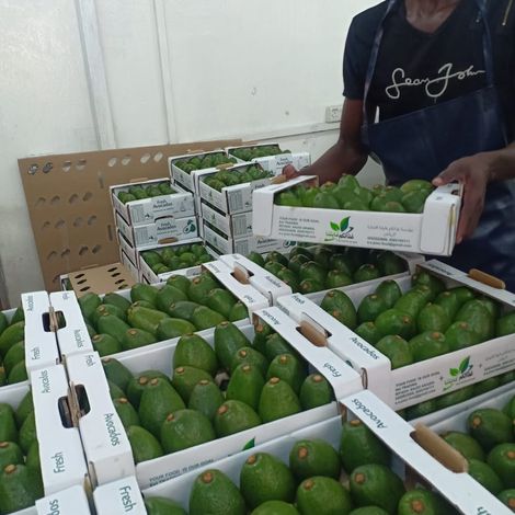 WhatsApp Image 2020-05-15 at 19.30.19.jpeg