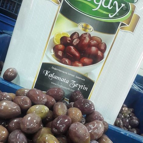 Nogay Zeytincilik Gida Insaat Emlak Nakliye Sanayi Ve Ticaret Limited Sirketi