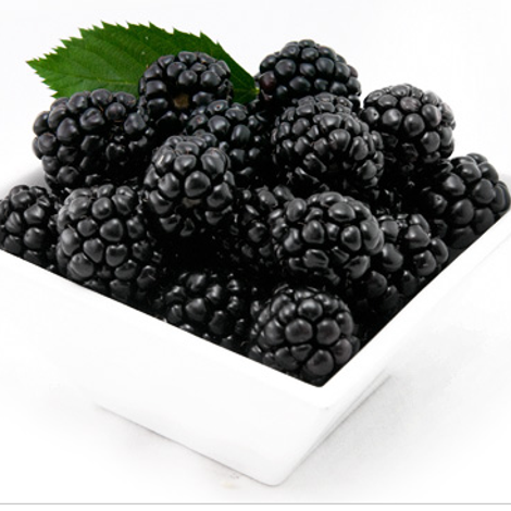 Total Fresh