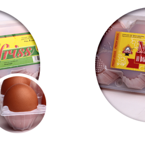 termek2 (1).png