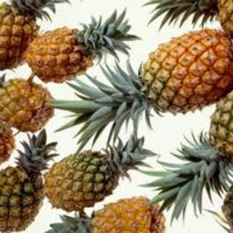 Pineapple