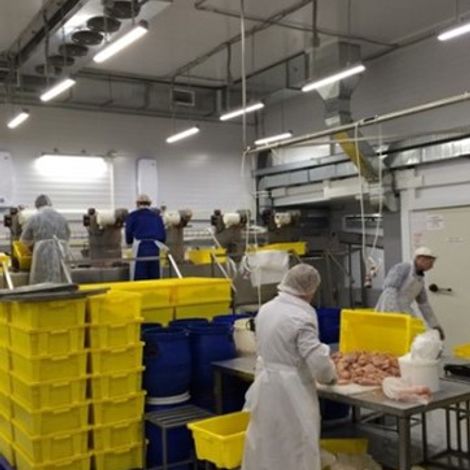 LLC Chicken Factory - Processing Facility