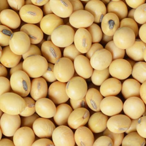 Cooperative Elevator Company