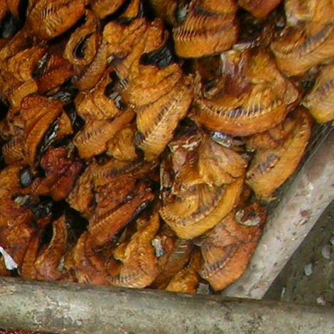 Dried Fish