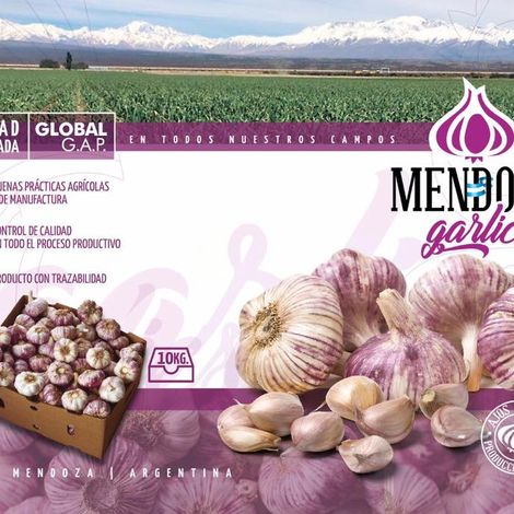 American Garlic Products S.A.
